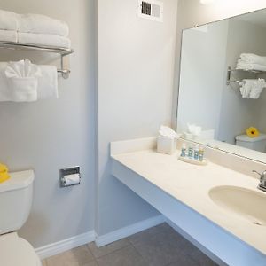 Standard Room 1 King
